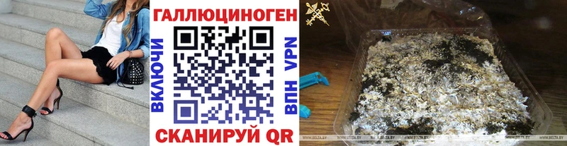 Купить  Махачкала  Псилоцибиновые грибы Psilocybine cubensis 